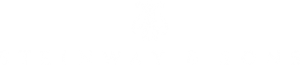 SaS_logo_NEU_neg
